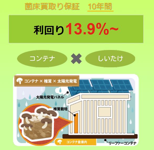 10年保証