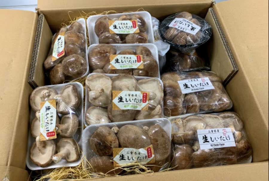 出荷の様子